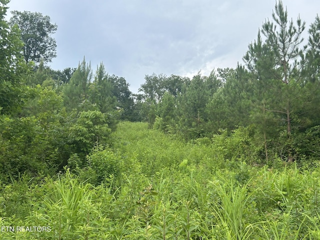 Three Point Rd, Vonore, TN 37885