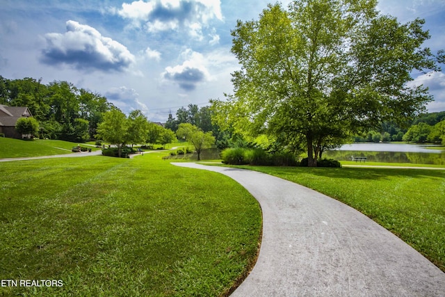 8507 Cloudbreak Ln Unit 4, Knoxville, TN 37938 - view of community featuring a lawn, a water view, and view of scattered trees