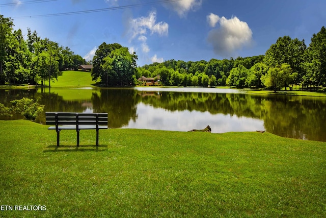 8507 Cloudbreak Ln Unit 4, Knoxville, TN 37938 - water view