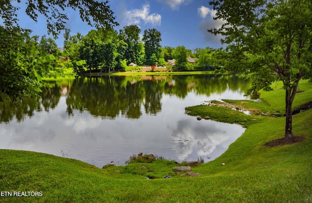 8507 Cloudbreak Ln Unit 4, Knoxville, TN 37938 - water view