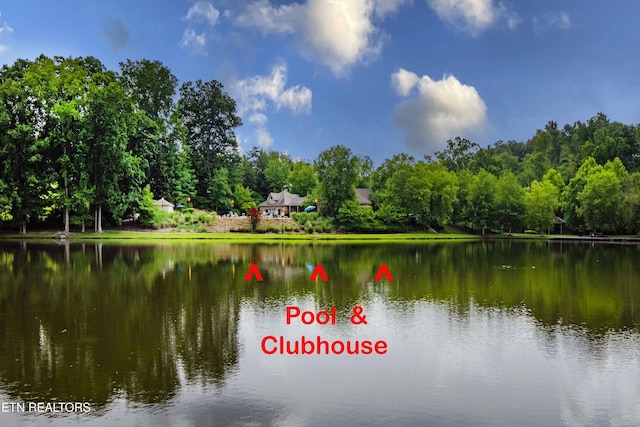 8507 Cloudbreak Ln Unit 4, Knoxville, TN 37938 - water view with a heavily wooded area