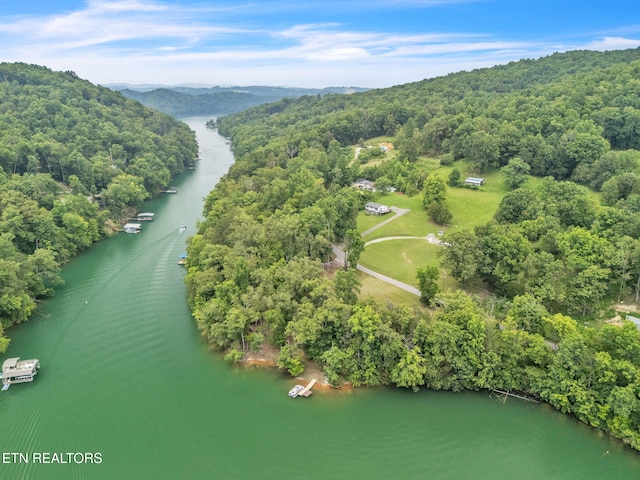 151 Swan Seymour Rd, Maynardville, TN 37807 - photo 3