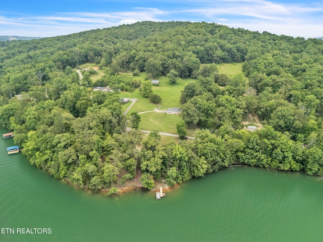 151 Swan Seymour Rd, Maynardville, TN 37807 - photo 4