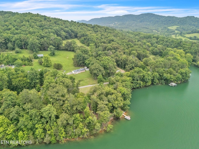 151 Swan Seymour Rd, Maynardville, TN 37807 - photo 5