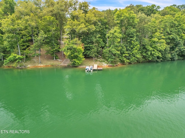 151 Swan Seymour Rd, Maynardville, TN 37807 - photo 15
