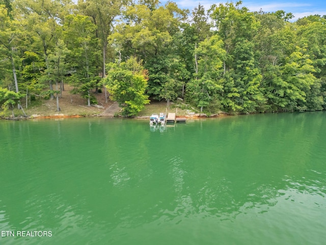 151 Swan Seymour Rd, Maynardville, TN 37807 - photo 16