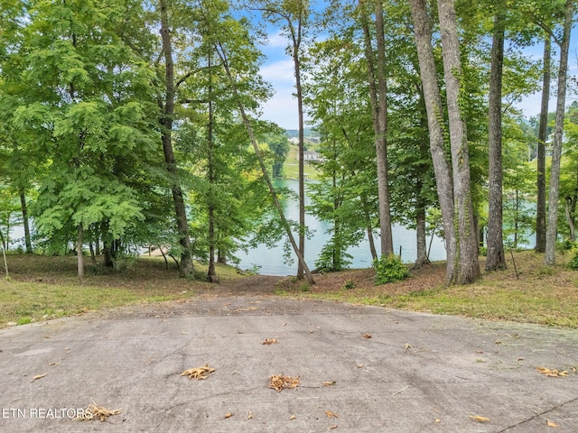 151 Swan Seymour Rd, Maynardville, TN 37807 - photo 26