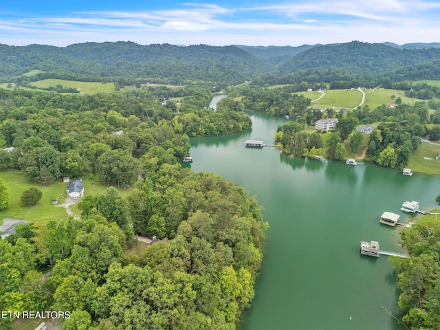 151 Swan Seymour Rd, Maynardville, TN 37807 - photo 12