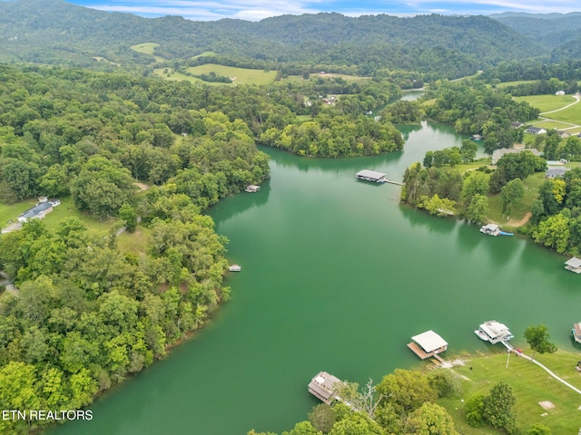 151 Swan Seymour Rd, Maynardville, TN 37807 - photo 6