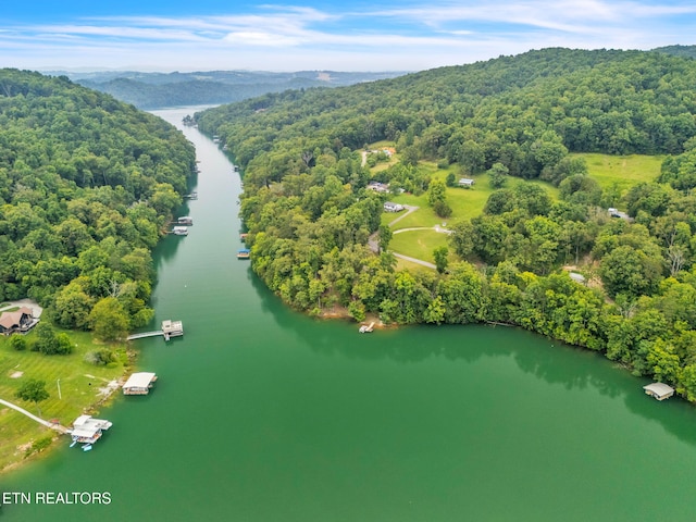 151 Swan Seymour Rd, Maynardville, TN 37807 - photo 7
