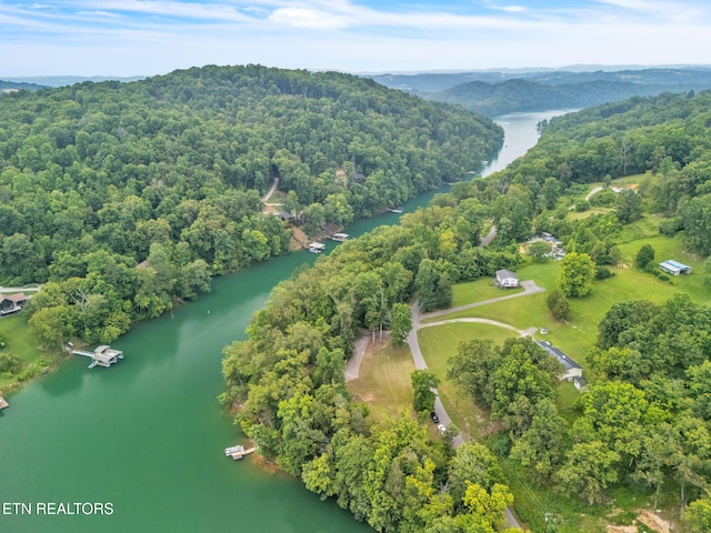 151 Swan Seymour Rd, Maynardville, TN 37807 - photo 8