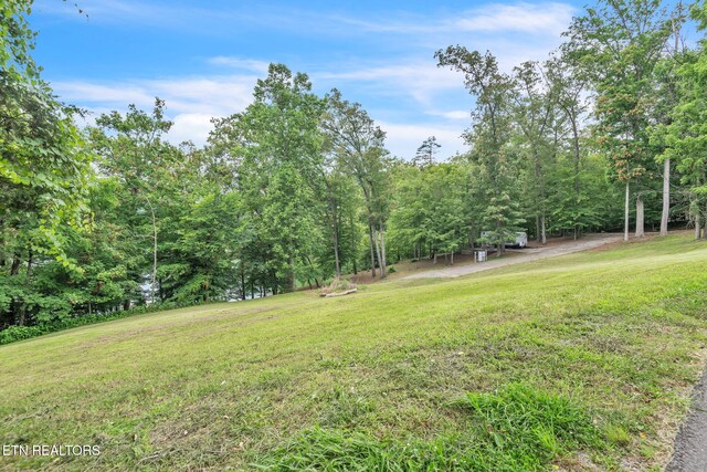 151 Swan Seymour Rd, Maynardville, TN 37807 - photo 22