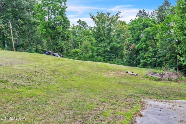 151 Swan Seymour Rd, Maynardville, TN 37807 - photo 31