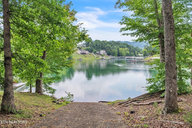151 Swan Seymour Rd, Maynardville, TN 37807 - photo 32