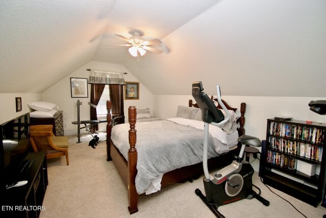 1138 Disco Loop Rd, Friendsville, TN 37737 - photo 31