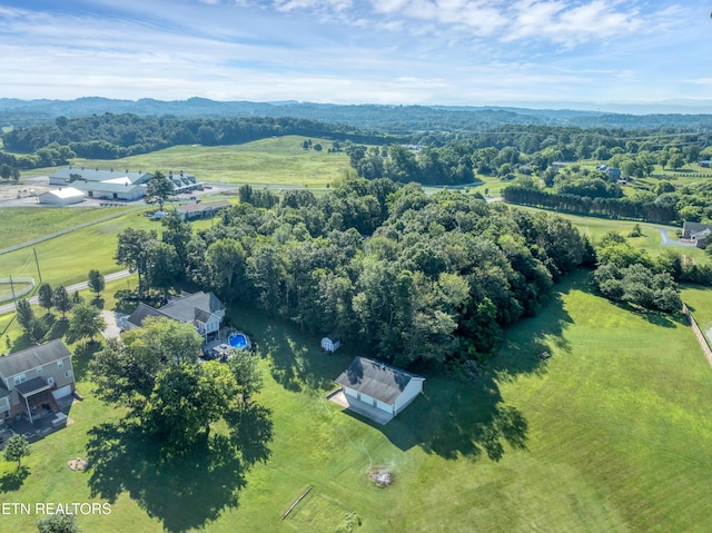 1138 Disco Loop Rd, Friendsville, TN 37737 - photo 59