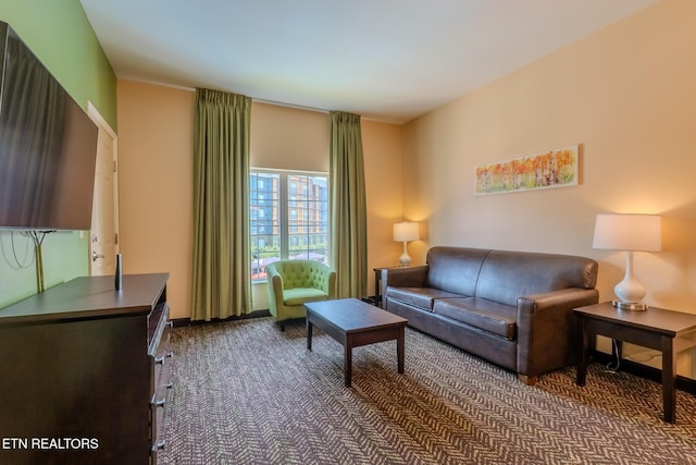 225 Collier Dr Unit 2212, Sevierville, TN 37862 - living area featuring carpet flooring and baseboards