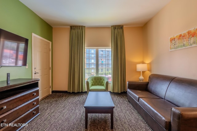 225 Collier Dr Unit 2212, Sevierville, TN 37862 - living room with dark colored carpet