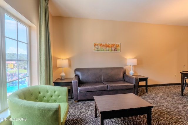 225 Collier Dr Unit 2212, Sevierville, TN 37862 - living room featuring carpet floors and plenty of natural light