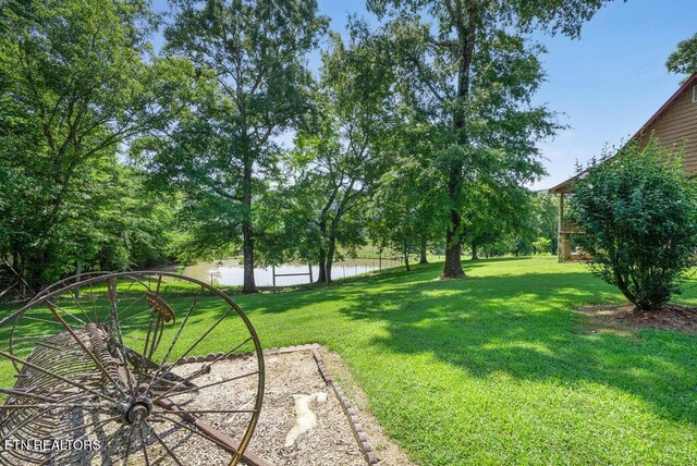 1821 S Nopone Valley Rd, Decatur, TN 37322 - view of grassy yard featuring a water view