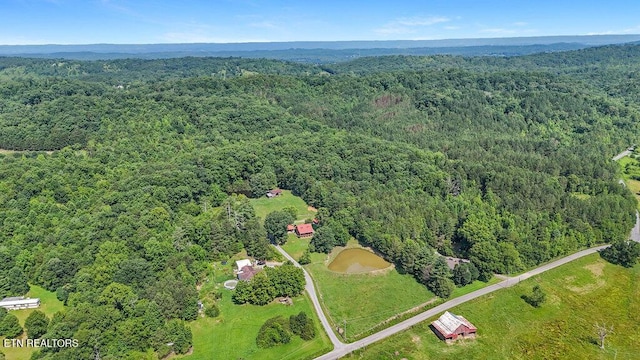 1821 S Nopone Valley Rd, Decatur, TN 37322 - drone / aerial view of a forest