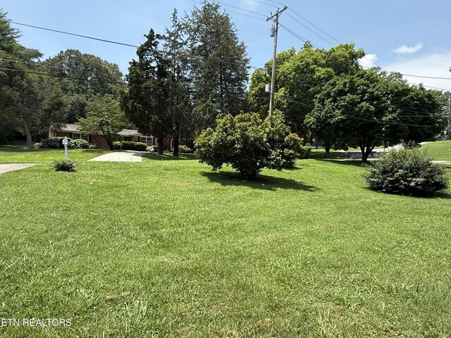 205 Elm St, Clinton, TN 37716 - photo 9