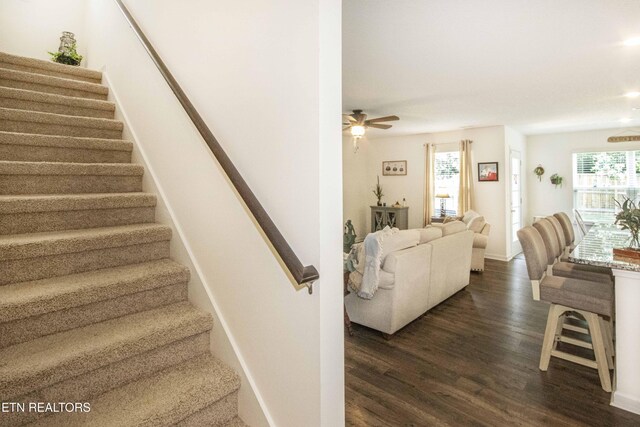 7408 Game Bird St, Corryton, TN 37721 - stairway with wood finished floors, healthy amount of natural light, a ceiling fan, and recessed lighting