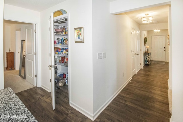 7408 Game Bird St, Corryton, TN 37721 - corridor featuring dark wood-type flooring and a chandelier