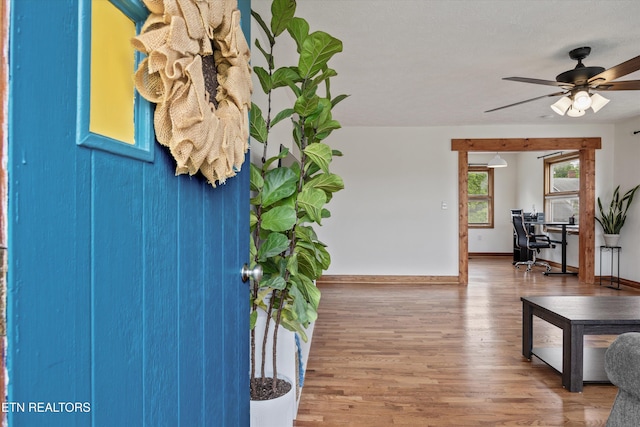 2931 E Emory Rd, Knoxville, TN 37938 - foyer entrance featuring wood finished floors and ceiling fan