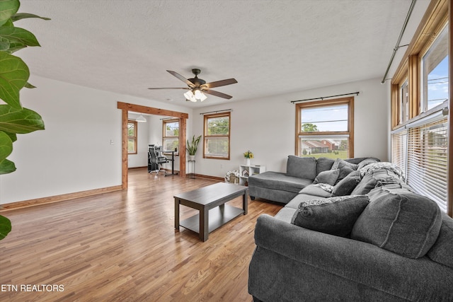 2931 E Emory Rd, Knoxville, TN 37938 - living area featuring light wood finished floors, a textured ceiling, and a ceiling fan