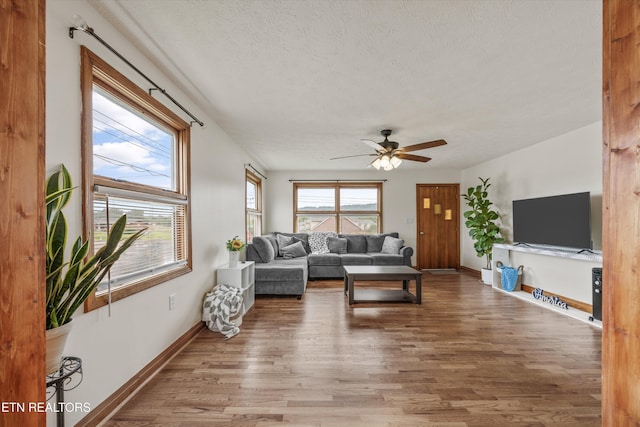2931 E Emory Rd, Knoxville, TN 37938 - living room featuring ceiling fan, wood finished floors, and a textured ceiling
