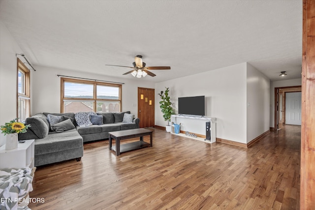 2931 E Emory Rd, Knoxville, TN 37938 - living area with light wood-style flooring and ceiling fan