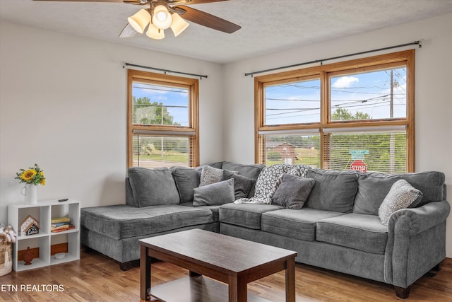 2931 E Emory Rd, Knoxville, TN 37938 - living room featuring light wood-style floors, a ceiling fan, and a textured ceiling