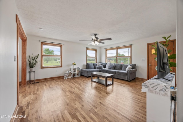 2931 E Emory Rd, Knoxville, TN 37938 - living room with light wood finished floors, a textured ceiling, plenty of natural light, and a ceiling fan