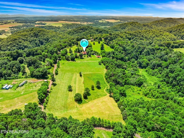 228 Pleasant Hill Rd, Sweetwater, TN 37874 - photo 57