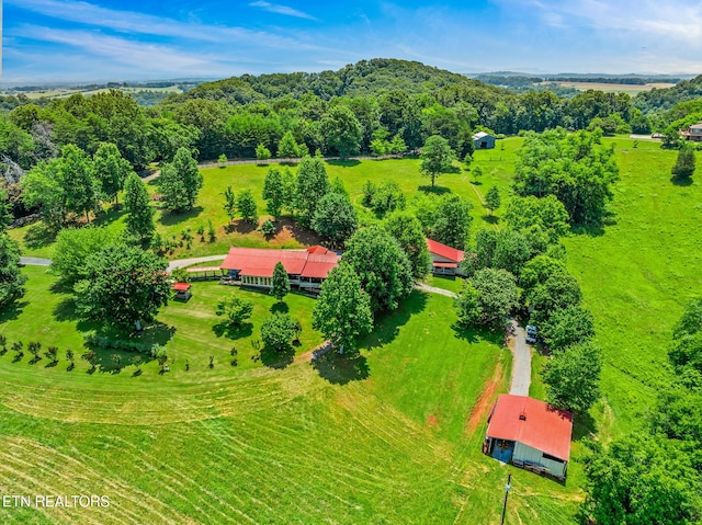 228 Pleasant Hill Rd, Sweetwater, TN 37874 - photo 50