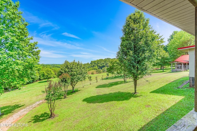 228 Pleasant Hill Rd, Sweetwater, TN 37874 - photo 46