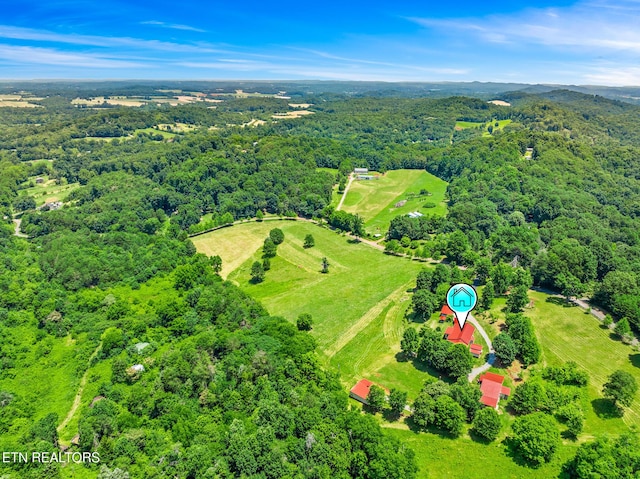 228 Pleasant Hill Rd, Sweetwater, TN 37874 - photo 56