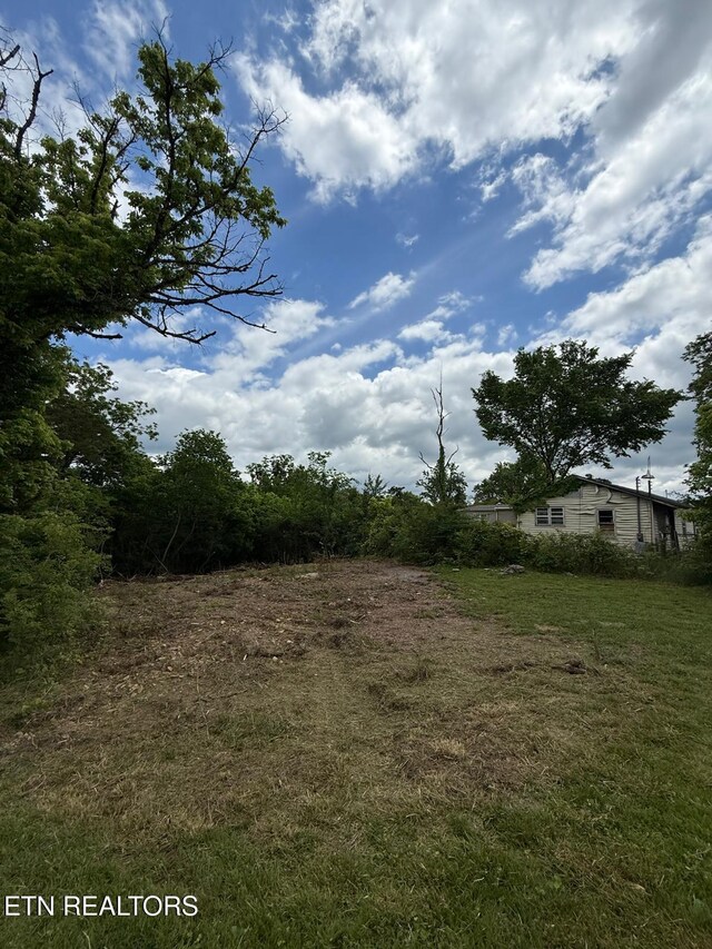 406 Corum Rd, Knoxville, TN 37924 - photo 7