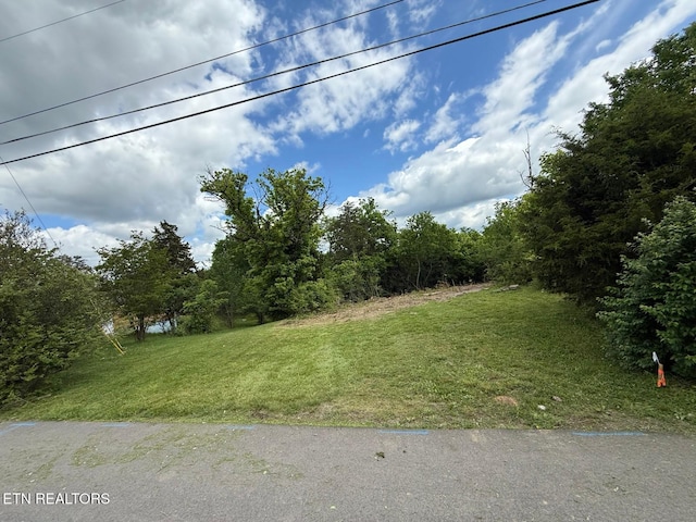 406 Corum Rd, Knoxville, TN 37924 - photo 6