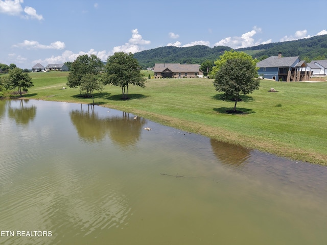 11008 Nautical Pt, Mooresburg, TN 37811 - photo 5