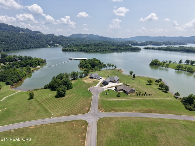 11008 Nautical Pt, Mooresburg, TN 37811 - photo 8