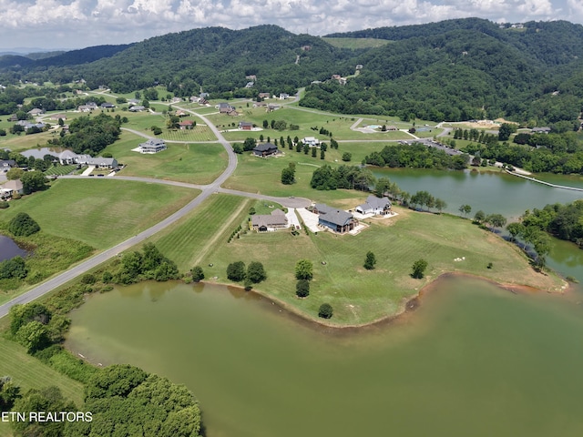 11008 Nautical Pt, Mooresburg, TN 37811 - photo 9
