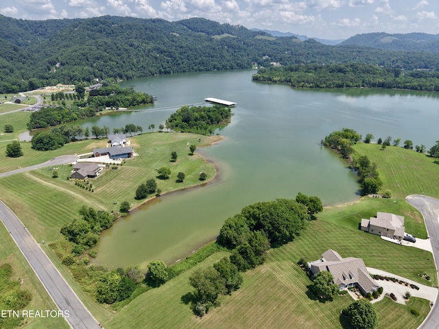 11008 Nautical Pt, Mooresburg, TN 37811 - photo 10