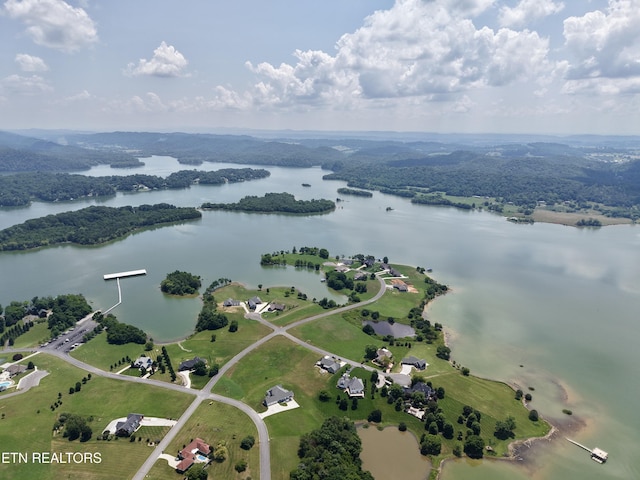 11008 Nautical Pt, Mooresburg, TN 37811 - photo 11