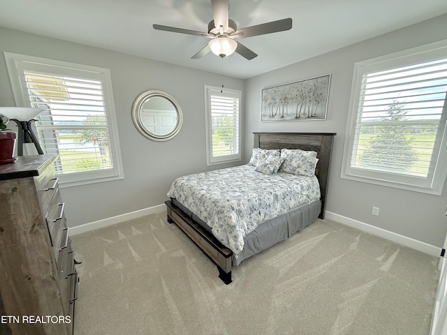 11008 Nautical Pt, Mooresburg, TN 37811 - photo 29