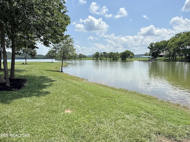 11008 Nautical Pt, Mooresburg, TN 37811 - photo 40