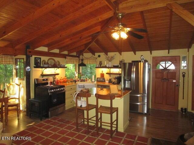 262 Mountain View Dr, Rutledge, TN 37861 - kitchen featuring appliances with stainless steel finishes, ceiling fan, wood ceiling, a wood stove, and plenty of natural light