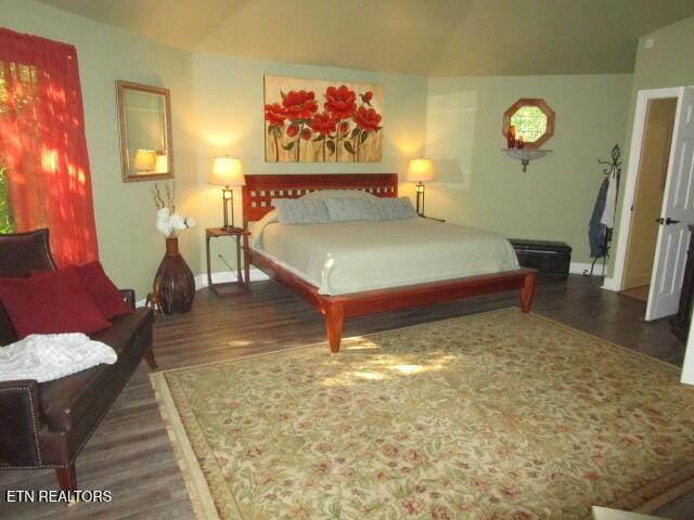 262 Mountain View Dr, Rutledge, TN 37861 - bedroom featuring wood finished floors