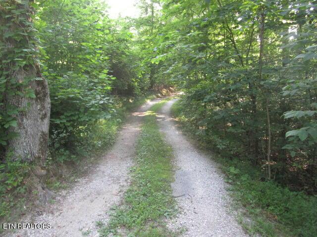 262 Mountain View Dr, Rutledge, TN 37861 - view of road featuring a view of trees